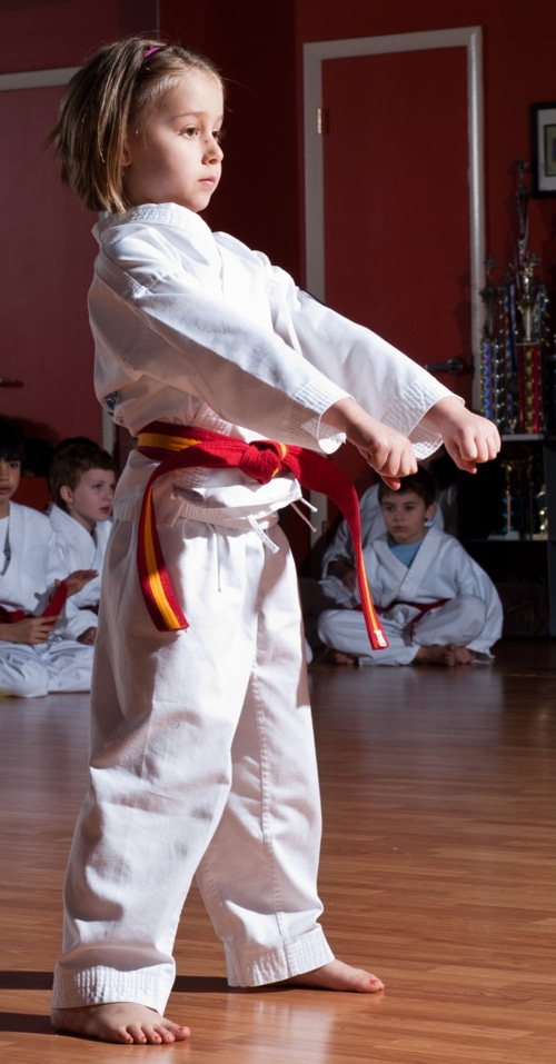 HiYa! Karate Dragons (Ages 5-6)