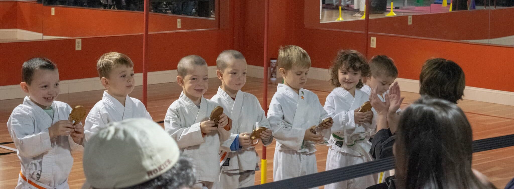 HiYa! Karate Tiger Cubs (Ages 3-4)